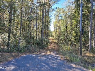 2243 Central Firetower Rd, Lucedale, MS 39452