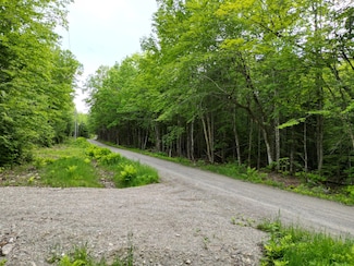 Lot 32 Bearce Rd, Lakeville, ME 04487