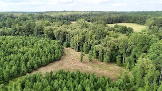 County Road 5131, Booneville, MS 38829