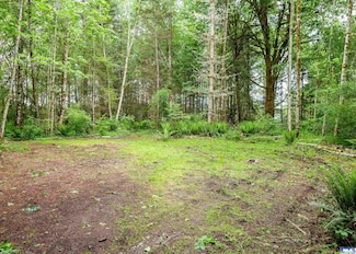 NKA Lakenes Rd, Quilcene, WA 98376