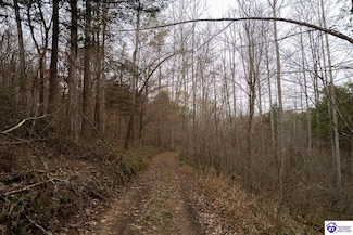 Rd, Campbellsville, KY 42718