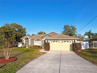 3050 Aldoro Ave, Spring Hill, FL 34609