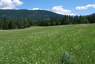 Nhn Timber Meadows Ln, Trout Creek, MT 59874