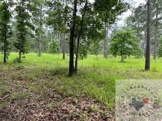 000 S Eaglesway S, Bradley, AR 71845