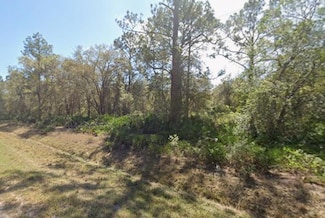431 Carteret Rd, Georgetown, FL 32139