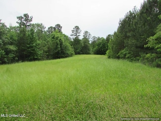 Lot 3 Permenter Rd, Canton, MS 39046