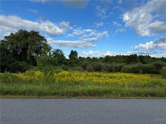 0 Skyline Dr Unit S1562500, Augusta, NY 13328