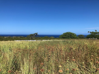 56-2981 Puakea Bay Rd, Hawi, HI 96719