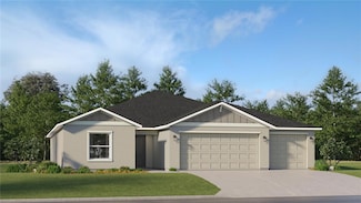 10282 Purple Leaf Ct, Riverview, FL 33578