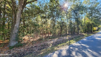 0 Sunflower St Unit 4133266, Bay St. Louis, MS 39520