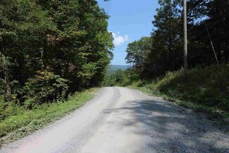 0 Penvir Rd Unit 330249, Narrows, VA 24124