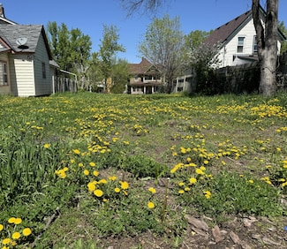 1150 Reaney Ave, Saint Paul, MN 55106