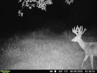 0 No 8 Rd, Punxsutawney, PA 15767