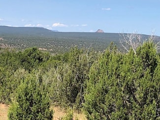 1226 County Road B28a, Villanueva, NM 87583