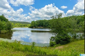 0 Slaughter Mill Rd Unit 21386602, Ashland, AL 36251