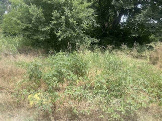 114 E Cedar St, Whitewright, TX 75491