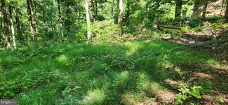 111 Bloodroot Rd, Front Royal, VA 22630