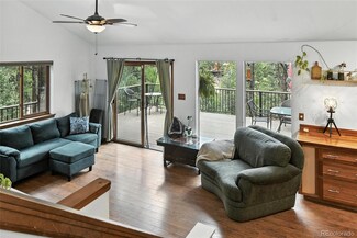 571 Wisp Creek Dr, Bailey, CO 80421