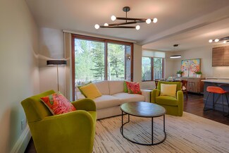 302 Adams Ranch Rd Unit 16, Telluride, CO 81435