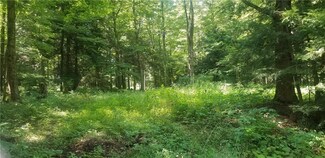 0 Shadyside Rd Unit R1144304, Mina, NY 14736