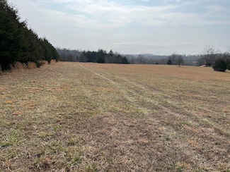 000 Weatherstone Rd, Mammoth Spring, AR 72554