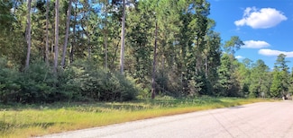 0 Cougar Ct, Huntsville, TX 77340