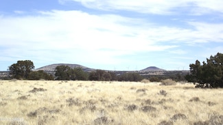 4796 E Palm Royal Ln, Valle, AZ 86046