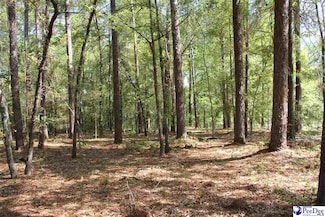 TBD Westover Dr, Hartsville, SC 29550