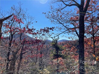 tbd Miller Cove Rd, Black Mountain, NC 28730