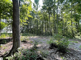 17.3-ACRES Marsh Rd, Kingsley, MI 49649