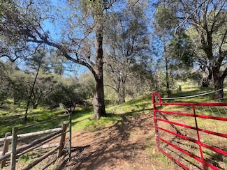 18907 Shake Ridge Rd, Sutter Creek, CA 95685