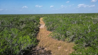 TBD Farm To Market 624 W, George West, TX 78022