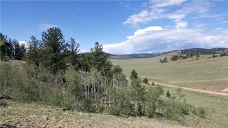 780 Cathy Dr, Hartsel, CO 80449