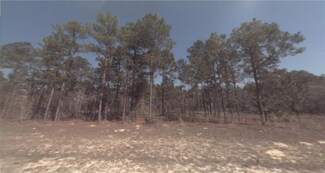 2955 W Hampshire Blvd, Dunnellon, FL 34433