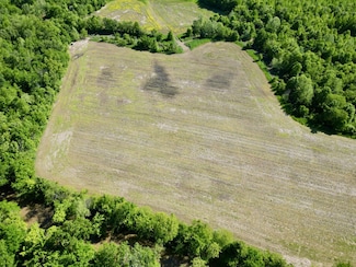 000 Netty Green Rd, Galatia, IL 62935