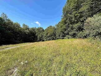 Lot 3 Trail View Ln, Masontown, WV 26542