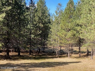 NKA Frosty Pine Trail, Coeur D'Alene, ID 83814