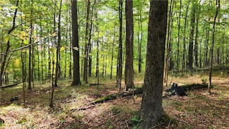 W Cooper Hill Rd, Humphrey, NY 14741