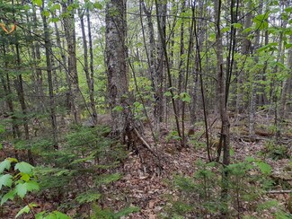 TBD Timberland Rd, Dixfield, ME 04224