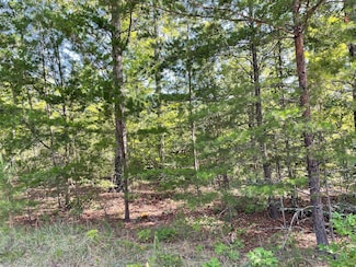 0 Whitewater Point Rd, Tamassee, SC 29686