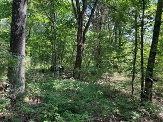 0 5 49 Acres On Meadow Creek Dr, Harrison, AR 72601
