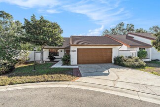 11507 Orilla Del Rio Place, Temple Terrace, FL 33617