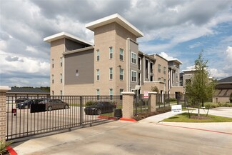 5131 Williams Way Blvd Unit 2112, Richmond, TX 77469