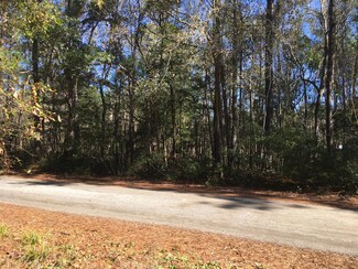 0 Grannys Ln Unit 22001166, Awendaw, SC 29429