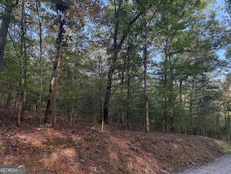 4AC. Old Mill Rd, Mineral Bluff, GA 30559