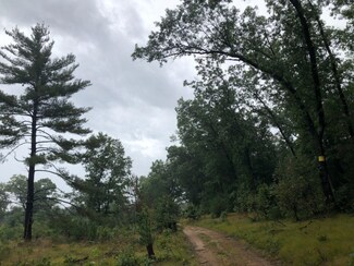 0 V L E Crystal Lake Rd, Holton, MI 49425
