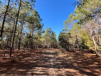 0 State Road S-3-52 Unit LotWP001, Allendale, SC 29810