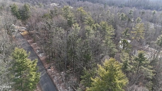 Tr 15 Mountain Laurel Ct, Unicoi, TN 37692