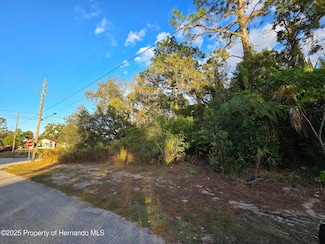 11290 Spring Hill Dr, Spring Hill, FL 34609