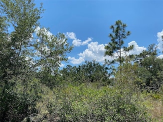 Lot 24 Indian Lake Dr, Lake Wales, FL 33855
